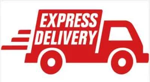 Express Shipping - Picture 1 of 1