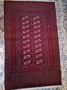 Teppich Buchara Echte Handgeküpft ca.94x150cm - Bild 1 von 5