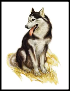 Alaskan Malamute Lovely A4 Size Dog Art Print Poster - Foto 1 di 1
