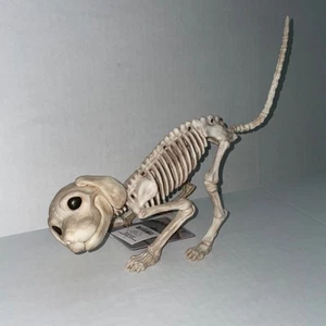 7" POUNCING PUPPY DOG SKELETON SPOOKY DEAD ANIMAL PROP HALLOWEEN DECORATION - Picture 1 of 4