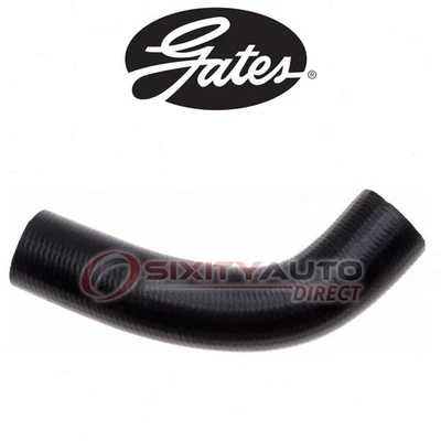 Gates Lower Radiator Coolant Hose for 2001-2005 Ford Taurus 3.0L V6 - to - Изображение 1 из 4