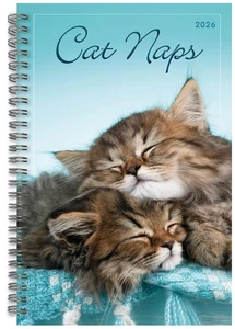 Cat Naps 2026 Weekly & Monthly Planner – Adorable Kitten Photos & Organized Plan - Foto 1 di 7