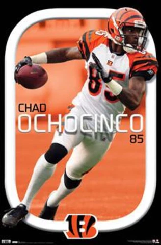 2010 COSTACOS NFL CINCINNATI BENGALS CHAD OCHOCINCO  JOHNSON POSTER 22X34 NEW Cover