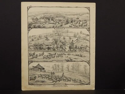 Mapa de Pensilvania, condado de Washington, 1876 grabados agrícolas doble cara N5#76 Foto 1 de 2