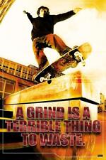 A Grind Is A terrible Thing To Waste Skater Humor Poster 24x36 inch