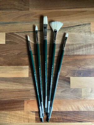 Cepillo de aceite redondo Winsor & Newton Winton ventilador plano Filbert varios tamaños Foto 1 de 3