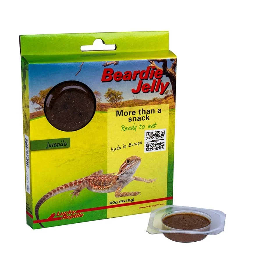 Lucky Reptile Beardie Jelly Juvenil - Bild 1 von 1