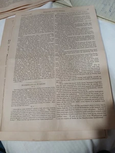 1880 Harper's Young Short Story Rosal Viejo - Imagen 1 de 1