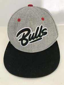 AUTHENTIC CHICAGO BULLS CHICAGO PRIDE GRAFFITI ART SNAPBACK HAT LGBTQ ๐ณ๏ธโ๐ - Picture 1 of 7
