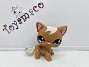 Original LPS Littlest Pet Shop : Cat siamese #1170 / free shipping - Picture 1 of 6