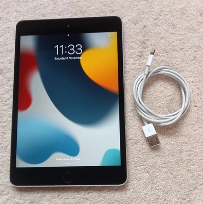 Apple iPad Mini 4th generation, 64gb, 7.9 inch, black / silver, MK9G2B/A - Image 1 of 4