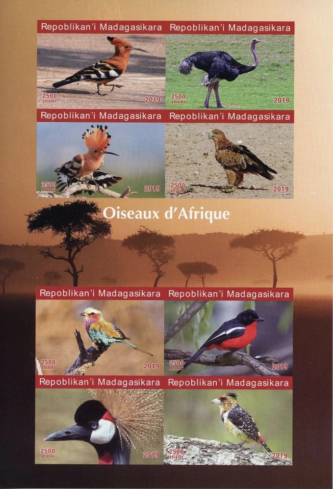 Madagascar 2019 MNH Birds of Africa Hoopoes Rollers Ostrich 8v IMPF M/S Stamps - Image 1 of 1