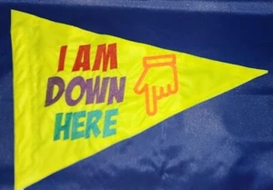 12"x18" ICH BIN HIER UNTEN Liegerad Trike Sicherheitsflagge Stellen Sie sicher, dass Sie gesehen werden!!! - Bild 1 von 6