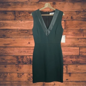 Bailey 44 dunkelgrünes Nara Kunstlederkleid Medium - Neu - Bild 1 von 9