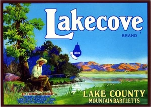 Impresión artística de etiqueta de caja de frutas de pera del condado de Finley Lake California Lakecove - Imagen 1 de 1