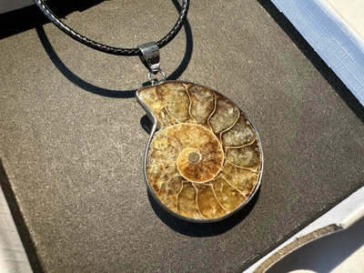 Collar colgante de plata de piedras preciosas fósiles de amonita genuino natural de colección Foto 1 de 4