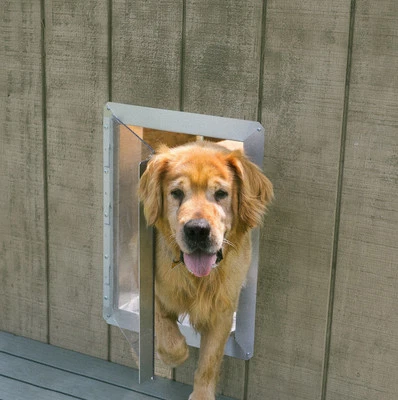 Puerta de perrera Dog Vue para perreras interiores y exteriores, casas para perros y cobertizos Foto 1 de 4