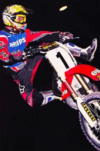 Jeremy Mcgrath Motorcycle Cross Country Star Wall Art Home Decor - POSTER 20x30 - Picture 1 of 3