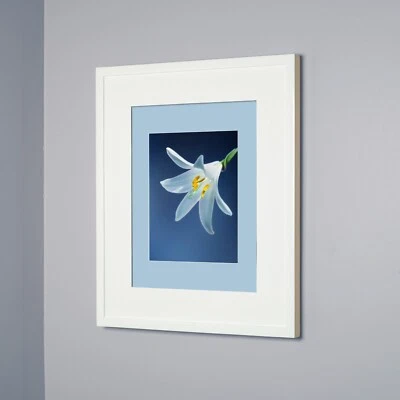 botiquín empotrado con marco puerta, sin espejo, interior blanco 14x18 Foto 1 de 4