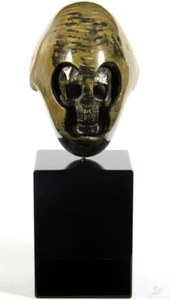 24.08.2014 ACSAD (A Crystal Skull a Day) - War God Skull - Nautiloidea Fossil - Bild 1 von 13