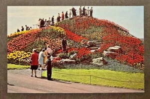 Schwenksville PA View at Ott's Exotic Greenhouse Mountain of Tulips SHIPS FREE - Picture 1 of 2