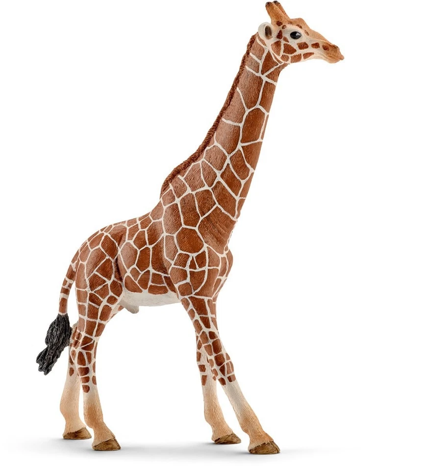 ,SCHLEICH, jirafa macho, , SHL14749 - Imagen 1 de 1