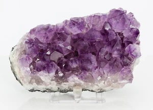 Ametista Quarzo Cristallo Grappolo Geode Decorazione Cattedrale Brasile 2,54 libbre H1805 - Foto 1 di 15