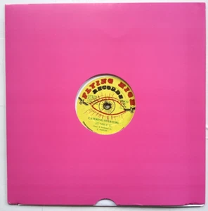 Humble I – Catering For Hits 12" vinyl record, reggae - Picture 1 of 10