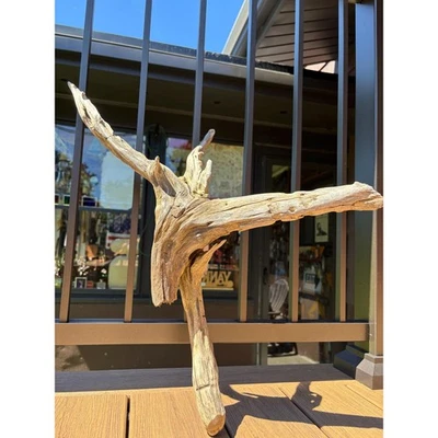 Gnarly Hardwood Driftwood Stump 23x8.5x20 – Rot Resistant Wood for Decor/Tank - Image 1 of 4