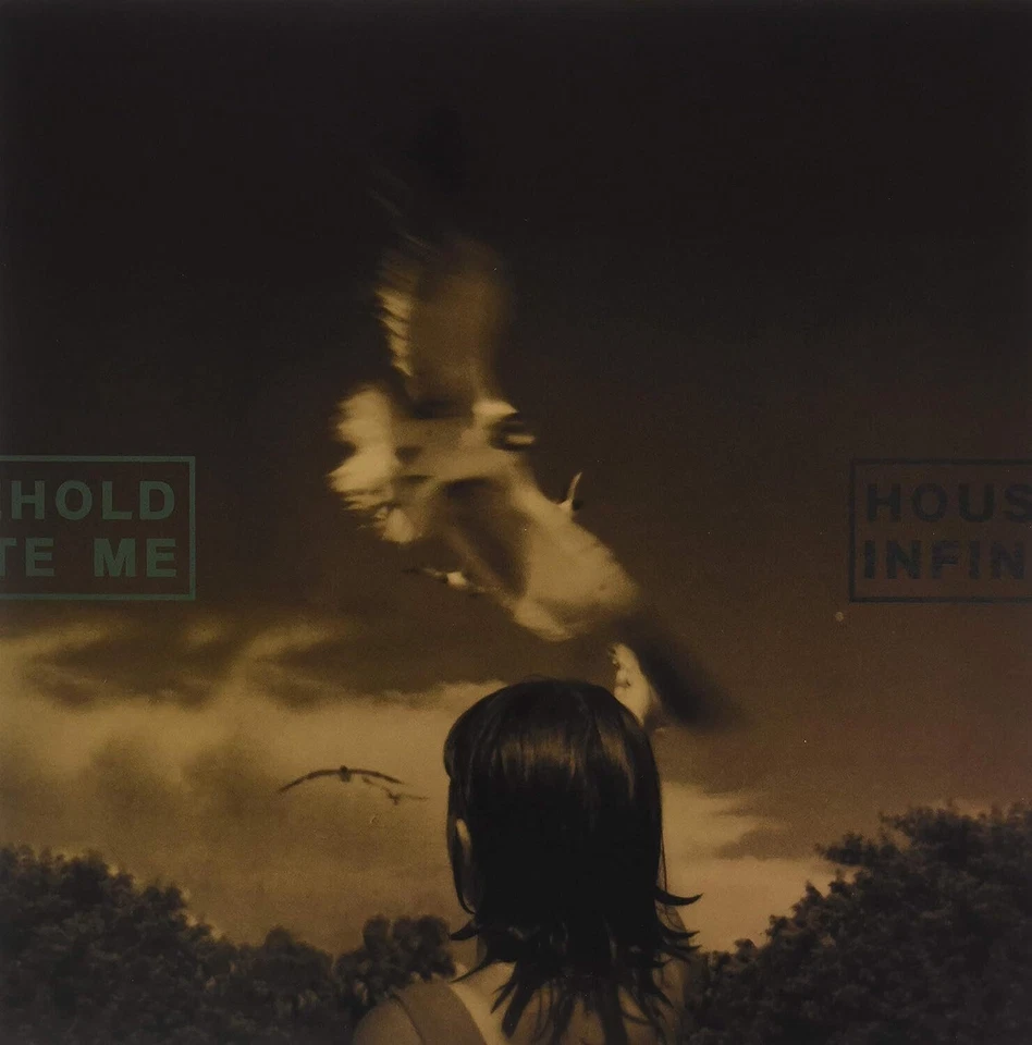 Household & Infinite Me Split (Vinyl) 12" Album - Bild 1 von 1