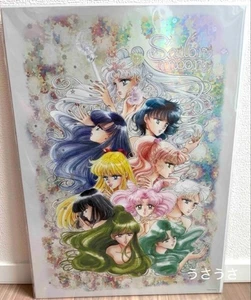 Pretty Guardian Sailor Moon Raisonne Exhibition Aurora Poster C Size A3 New JP - Picture 1 of 2