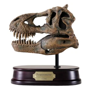 Tyrannosaurus T.rex Dinosaur Skull Model 1/10 Scale Replica by DinoStoreus - Picture 1 of 1