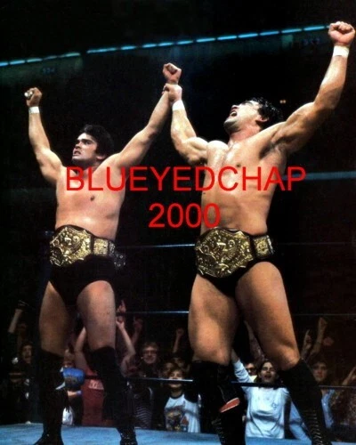FOTO DE LUCHA LIBRE DE 8 X 10 JAY YOUNGBLOOD & RICKY WWF NWA Foto 1 de 1