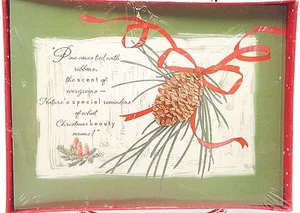 Weihnachtskarten Tannenzapfen Natur Erinnerungen 20 Stück Neu - Bild 1 von 2