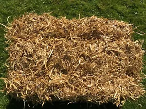 Gerstenstroh Strohballen 15kg Ernte 24 Einstreu Futter Hühner Schafe Nager Deko - Bild 1 von 6