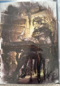 Octopath Traveller RARE Switch 42 cm x 59 cm Werbeposter #12 - Bild 1 von 1
