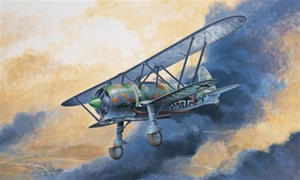 ITALERI CR.42 LW ( Luftwaffe ) Nr.: 2640 1:48 - Imagen 1 de 2
