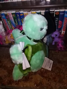 Precious Moments Green 2006 Graduation Plush Stuffed Turtle - Bild 1 von 1