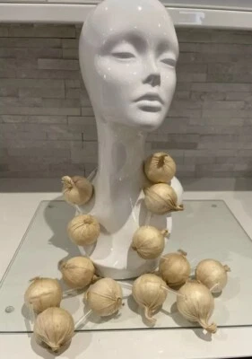 Guirnalda Collar Ajo Bulbo Cebolla Francesa Vestido Elegante Fiesta Cocina Vampiro Foto 1 de 4