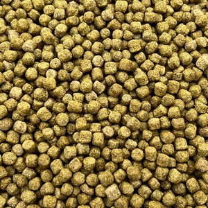 10KG PROFESSIONAL KOI PELLETS COMPLETE POND FISH FOOD WITH INSECT & SPIRULINA - Picture 1 of 2