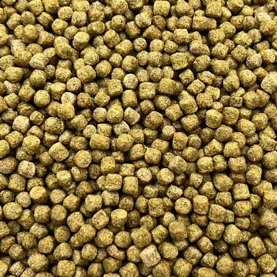 HOPEWELLS 10KG PROFESSIONAL KOI PELLETS COMPLETE POND FISH FOOD WITH INSECT & SPIRULINA