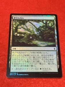 MTG Fertile Thicket Foil 237/274 Japanese - Picture 1 of 8