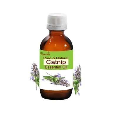 Catnip Pure Natural Essential Oil Nepeta cataria by Bangota - Image 1 of 4