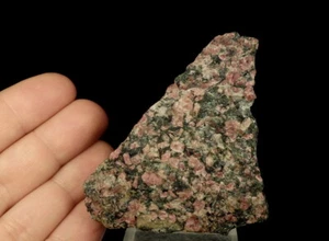 Rare ! EUDIALYTE & AEGIRINE --- Russia - KOLA PENINSULA - Khibiny Massif /pb568 - Picture 1 of 11