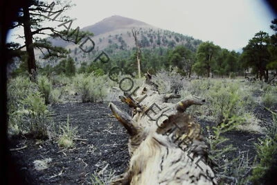 ORIGINAL Vintage Americana 35mm Photo Slide One of A Kind Candid AIT002816 Foto 1 de 2