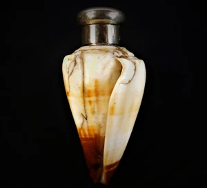 UNUSUAL 19th. C SAMPSON MORDEN STERLING SILVER MOUNTED SEA SHELL SCENT BOTTLE - Picture 1 of 8