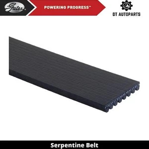 For 1993-1997 Ford LTS8000F 8.3L L6 DIESEL Serpentine Belt Gates 1994 1995 1996 - Picture 1 of 5