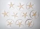 Lot de 18 spécimens d'étoiles de mer à fond plat cabochon 35 mm rond transparent