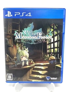 Marchen Forest: Mylne and the Forest Gift (PlayStation 4, 2021) - Picture 1 of 3