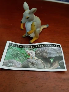 Yowies 🧸 YELLOW-FOOTED ROCK-WALLABY 🧸 with Papers - FAST POST - Picture 1 of 1